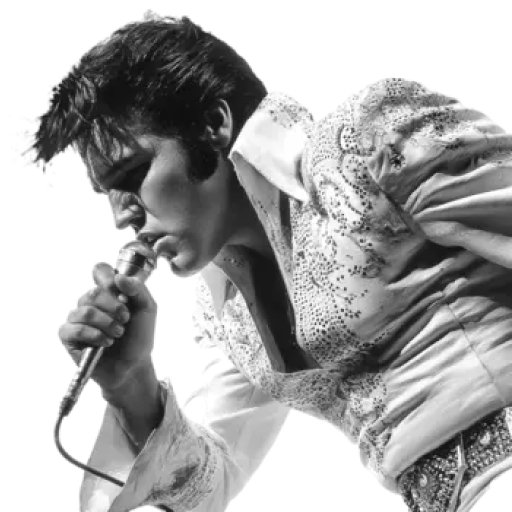 Elvis Tribute